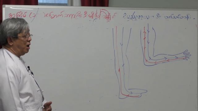 Introduction to Vipassana (07) - U Myo Myint Tun on 20-Apr-2017 смотреть онлайн