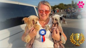 Наш позор на выставке собак. Больше не пойдем на выставки? Вся правда о выставках собак РКФ.