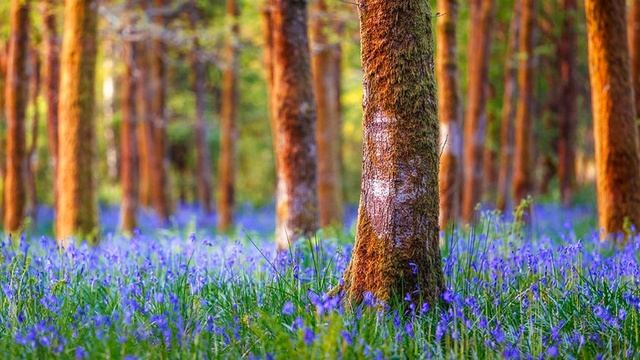 Ченнелинг 4.10.2015. Латуйя. Ключи к циркуляции своей оси смотреть онлайн