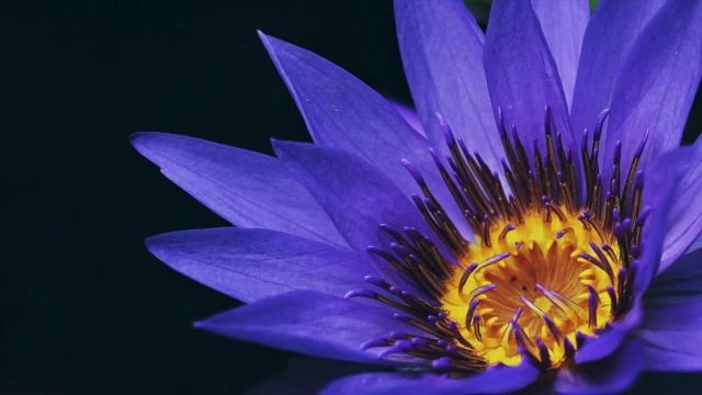 Third Eye Chakra Healing Music - 852Hz - Feel the spirituality of Life - Ajna смотреть онлайн