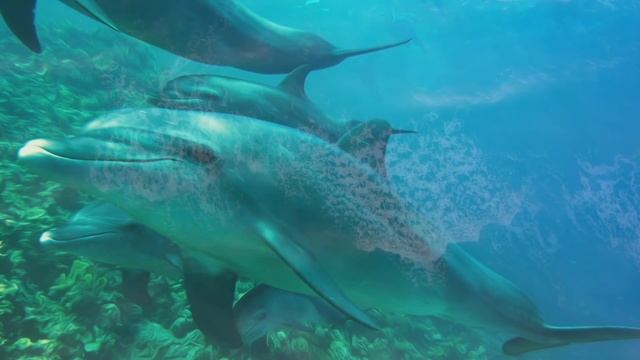 Calm Sleep Story | OVERWATER VILLA IN THE MALDIVES | Relaxing Bedtime Story for Grown Ups (asmr) смотреть онлайн