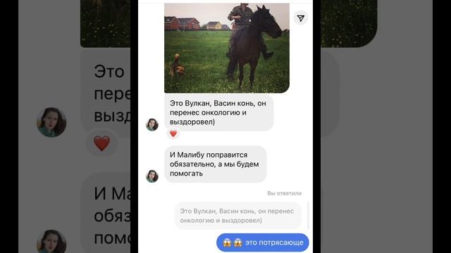 история малибy