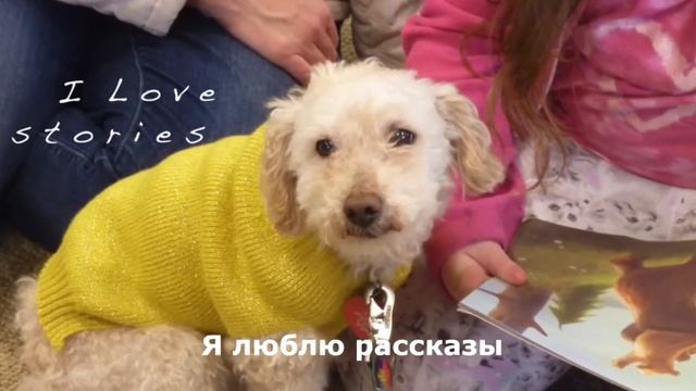 Лиза Папп - в гостях у библиотеки Пенсильвании