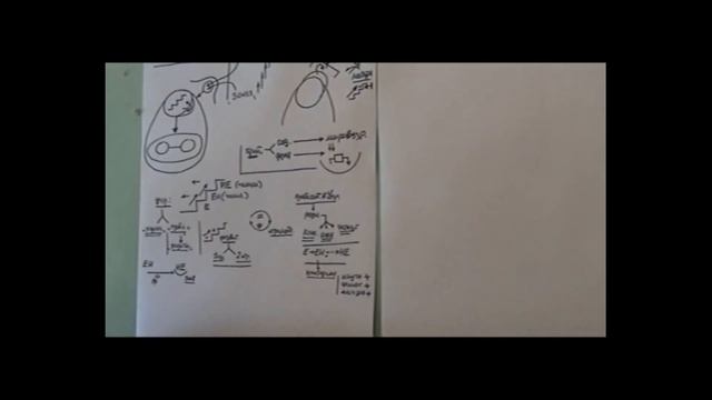 Научные, философские и методологические критерии рефлексивных помощников управленца 2009 смотреть онлайн