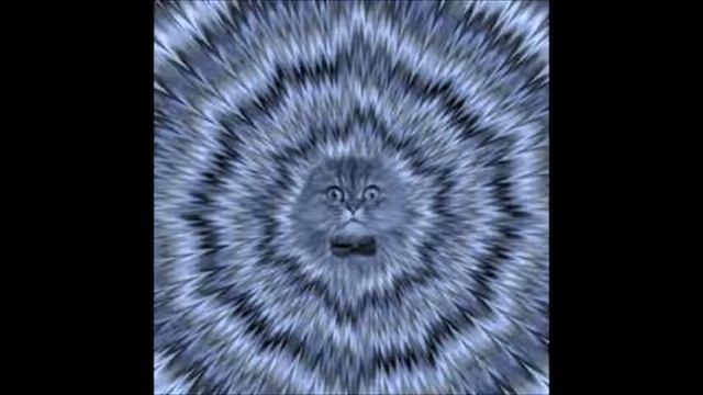 The Stipulations - The Last Time I Did Acid смотреть онлайн