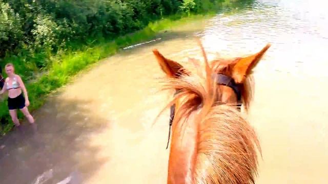 Купание на лошадях (КСК Авангард, Электросталь) смотреть онлайн