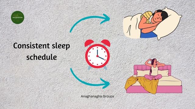 Power Of 8+8+8 Rule🌟 | Learn Time Management⏰ |