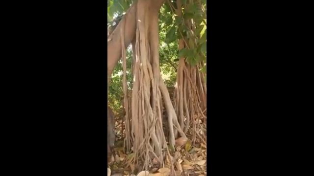 Theta-Загрузки 