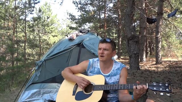 Б. Гребенщиков - Мой друг музыкант (кавер на З.В. 12.08.2017) смотреть онлайн