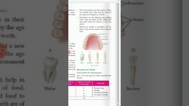 Ch.2(Nutrition in animals) || Class 7th || Part -2 || A Fantastic Life !! смотреть онлайн