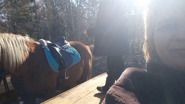 ВСЕ ОБОРУДОВАНО ДЛЯ ЛЮБОГО ВОЗРАСТА. ПОСЛУШНЫЕ, УМНЫЕ ЛОШАДКИ, И ПРОФЕССИОНАЛЬНЫЕ ИНСТРУКТОРЫ. смотреть онлайн