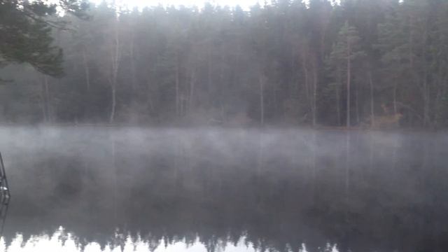 -1. first one. the fog 1 смотреть онлайн