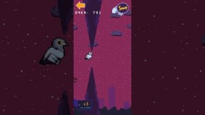 голубь Валера играем