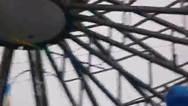 Дельфинарий 04 03 2013