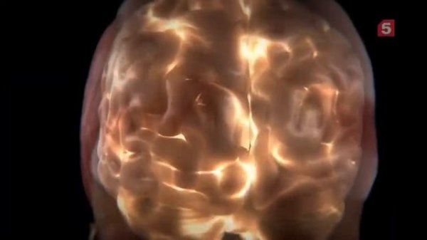 Сила мысли Загадки подсознания