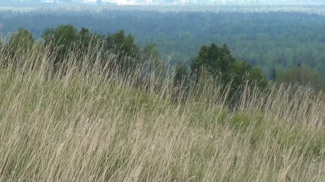 Верховские дали смотреть онлайн