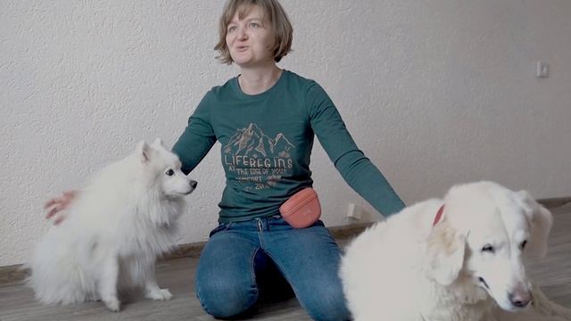 Мост через пропасть смотреть онлайн