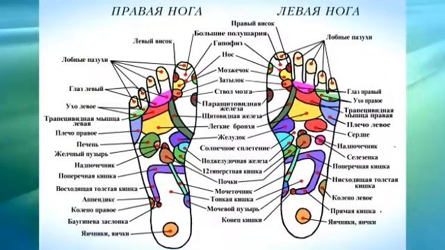 Рефлексотерапия Астана смотреть онлайн
