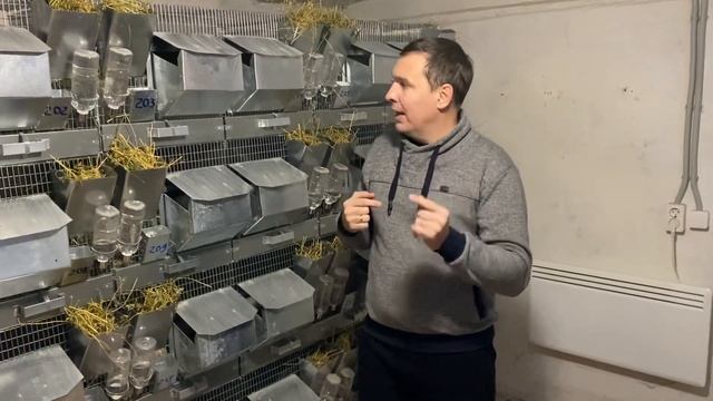 РЕНТАБЕЛЬНОСТЬ ШИНШИЛЛОВОЙ ФЕРМЫ || ИСПОЛЬЗУЙ СВОИ ЦИФРЫ || ФЕРМА ШИНШИЛЛ смотреть онлайн