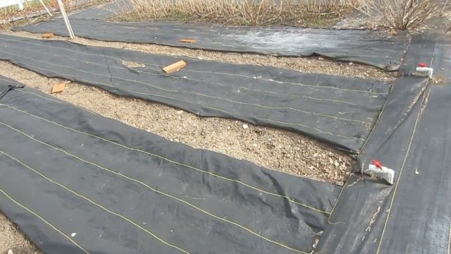 Off-Grid Homesteading: Garden Plan & Layout смотреть онлайн