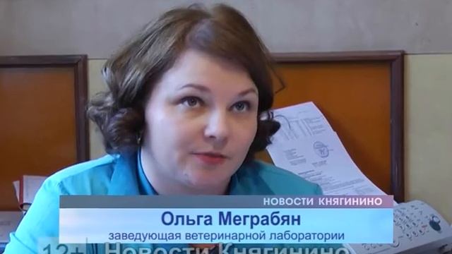 В гостях у специалистов ветеринарного управления. смотреть онлайн