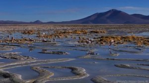 Прекрасная планета