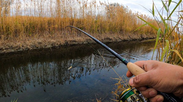 Щука жрала воблер на каждом забросе 💪💪💪 ОБЗОР Nautilus Grinder GRS-662M 👍