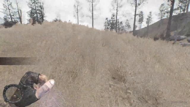 [Stream Playtrough]S.T.A.L.K.E.R. - Autumn Aurora 2.1 pt.1 смотреть онлайн