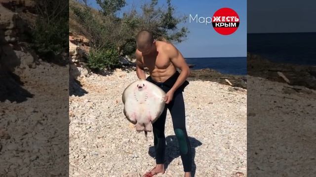 Рыба мечты. смотреть онлайн