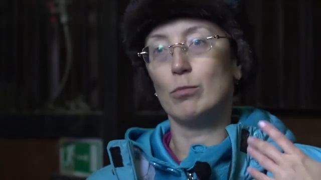 МКСО Центр. смотреть онлайн