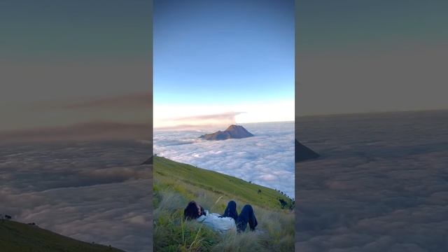 Красота смотреть онлайн