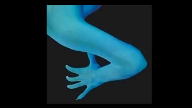 Coconuts - Silver Lights