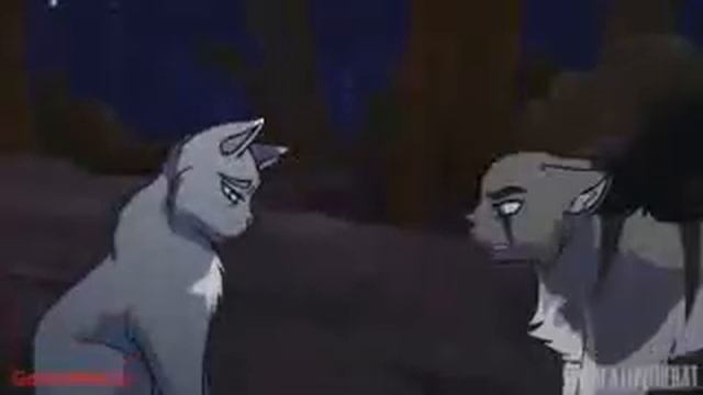 Коты воители / искра и голубка смотреть онлайн