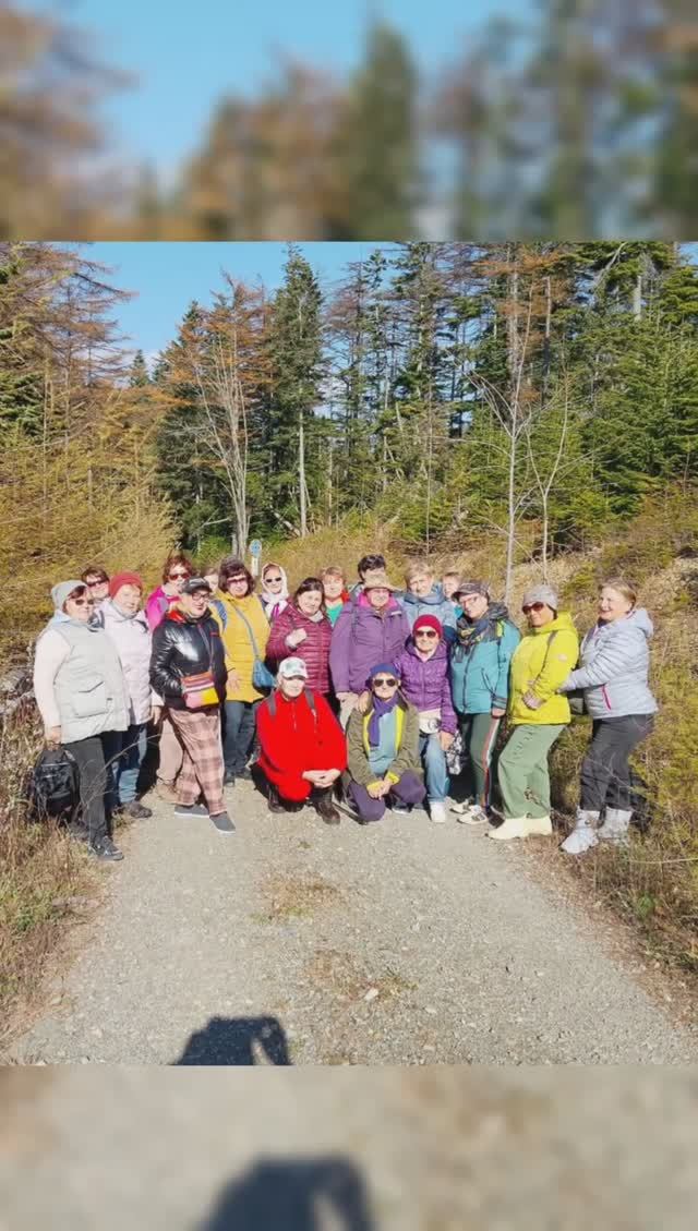 Ельник, Пригородное, Сахалин смотреть онлайн
