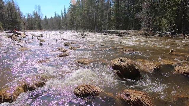 Первое в истории прохождение верховьев реки Юрюзань смотреть онлайн