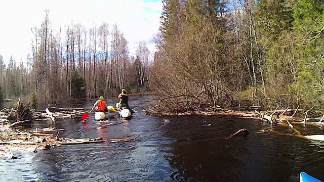 Сплав по рекам Полометь и Укса в апреле