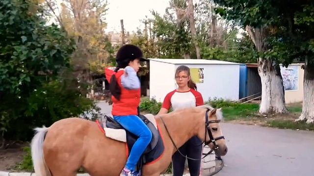Нам очень понравилось... смотреть онлайн