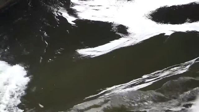 MAH01404 смотреть онлайн
