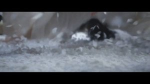 [FMV]Двойник /The Double (клип на дораму Двойник | The Double | Mo Yu Yun Jian)