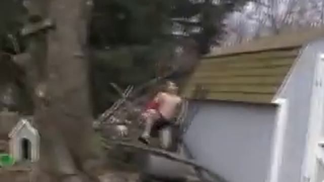 Rinaldo's Dangerous Hunts; The Dangerous Sims Family смотреть онлайн