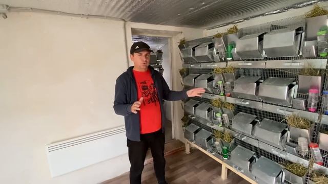 ТРУДОЗАТРАТЫ НА СОДЕРЖАНИЕ ШИНШИЛЛОВОЙ ФЕРМЫ | ФЕРМА ШИНШИЛЛ | ШИНШИЛЛОВЫЙ БИЗНЕС смотреть онлайн