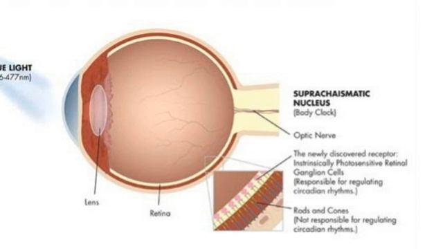 NatureBright SunTouch Plus Light and Ion Therapy Lamp - Review смотреть онлайн
