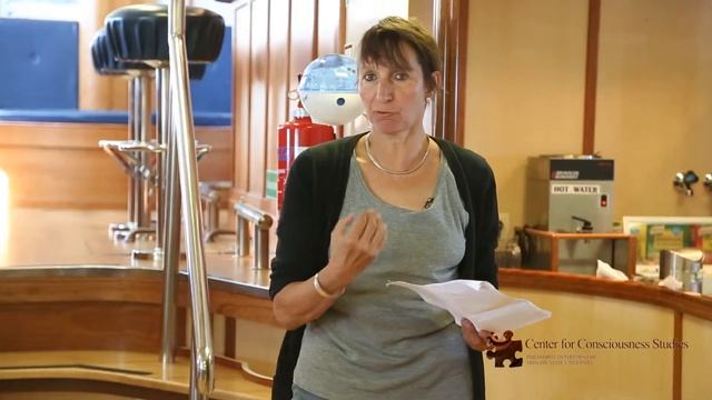 Greenland 2014 Presentation of Martina Nida Ruemelin смотреть онлайн