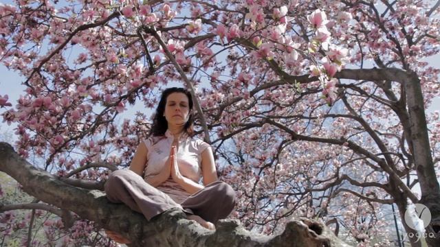 Yogea Breathing: Zen Blossom смотреть онлайн