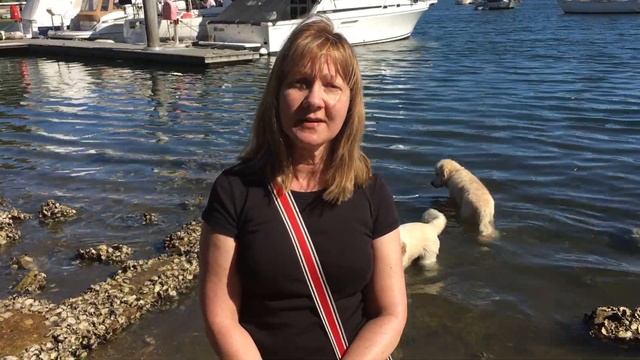 The lure of South Africa - the setting of new thriller Prey смотреть онлайн