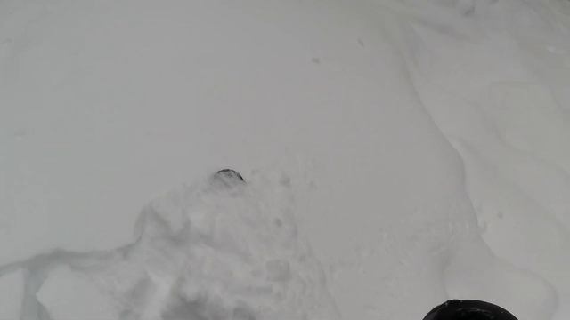 Каракол вне трасс - густой лес где ездят местные экстрималы смотреть онлайн