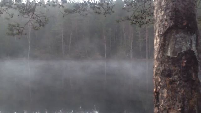 -1. first one. the fog 2 смотреть онлайн