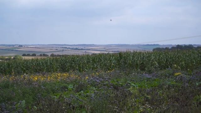 cornfield смотреть онлайн