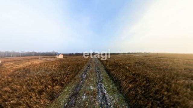 3461684 смотреть онлайн