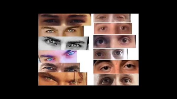 Hunter Eyes Vs Prey Eyes: How To Get Hunter Eyes